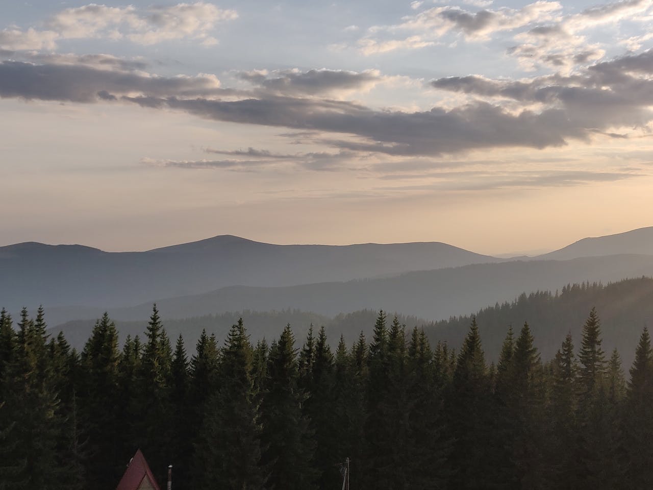 Beautiful view of misty mountains and pine forest at twilight with a serene atmosphere.