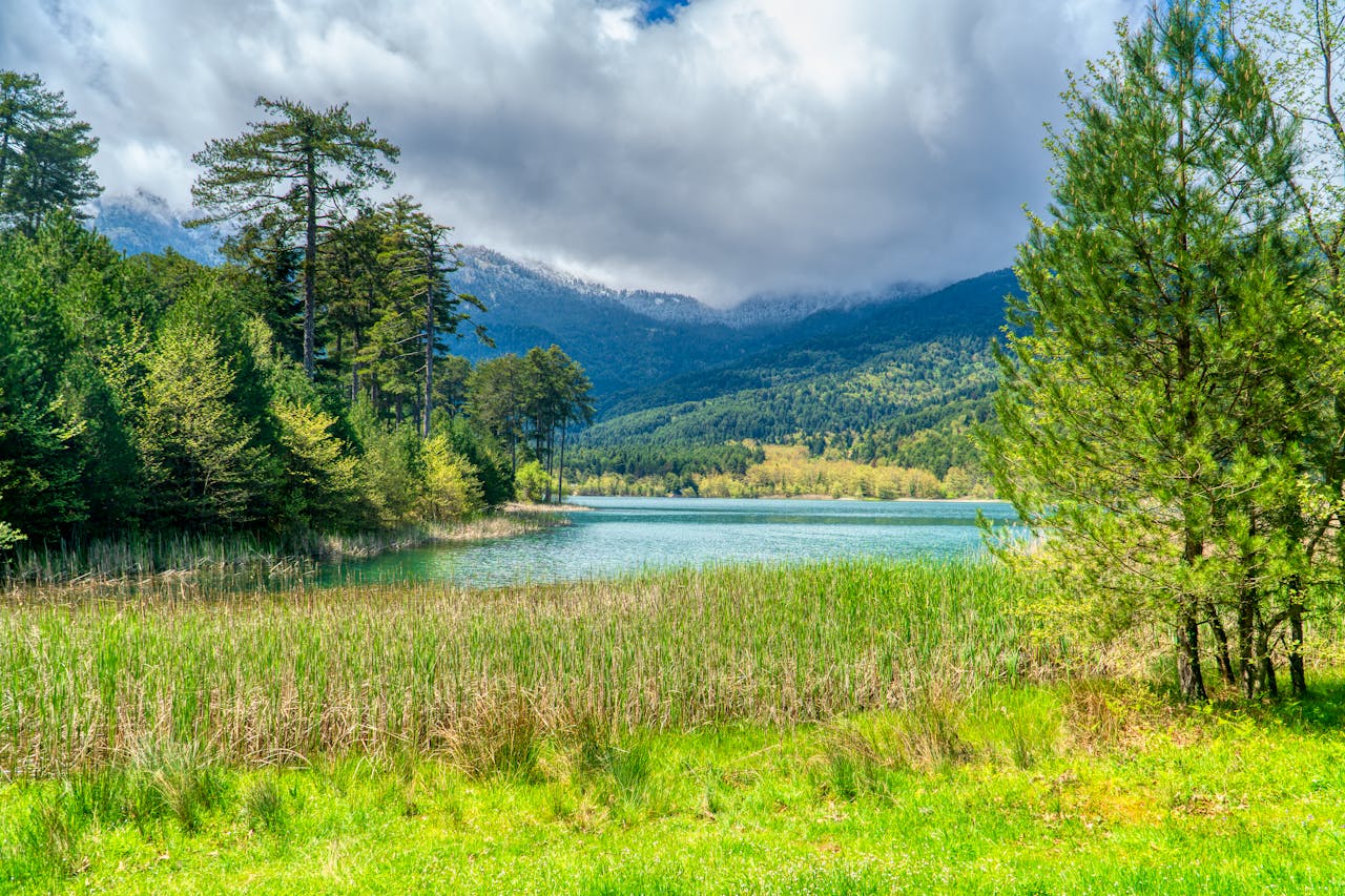 Tranquil landscape of Lake Doxa with lush greenery and majestic mountains in Greece.